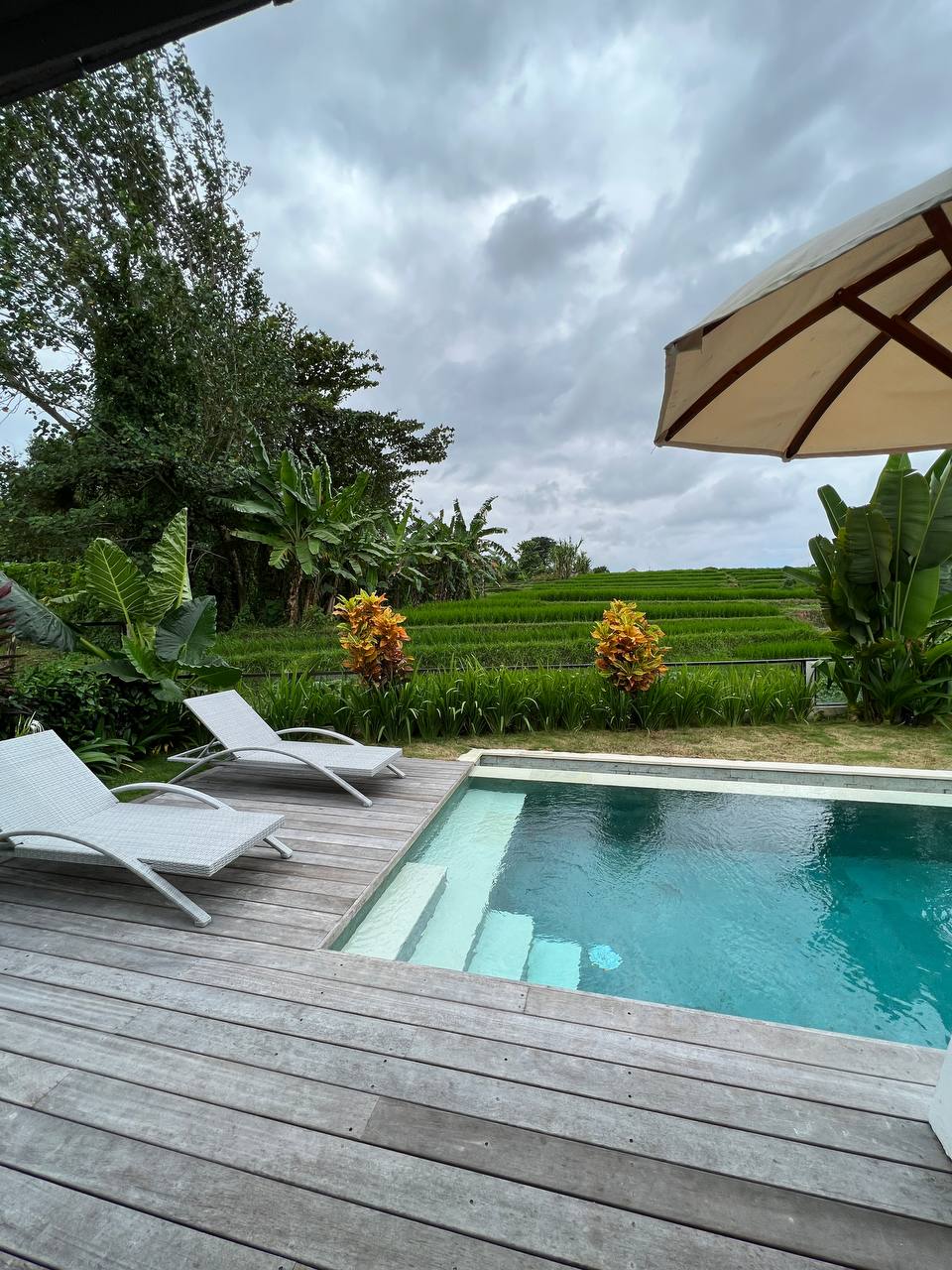 Villa cozy Canggu 2  bedrooms