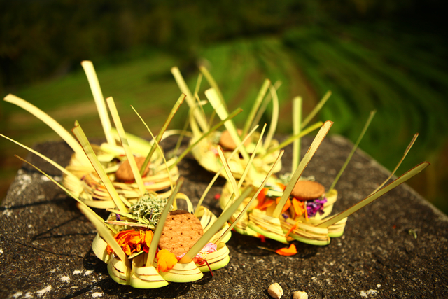 The Philosophy of Balinese Offerings - or on the Essence of a