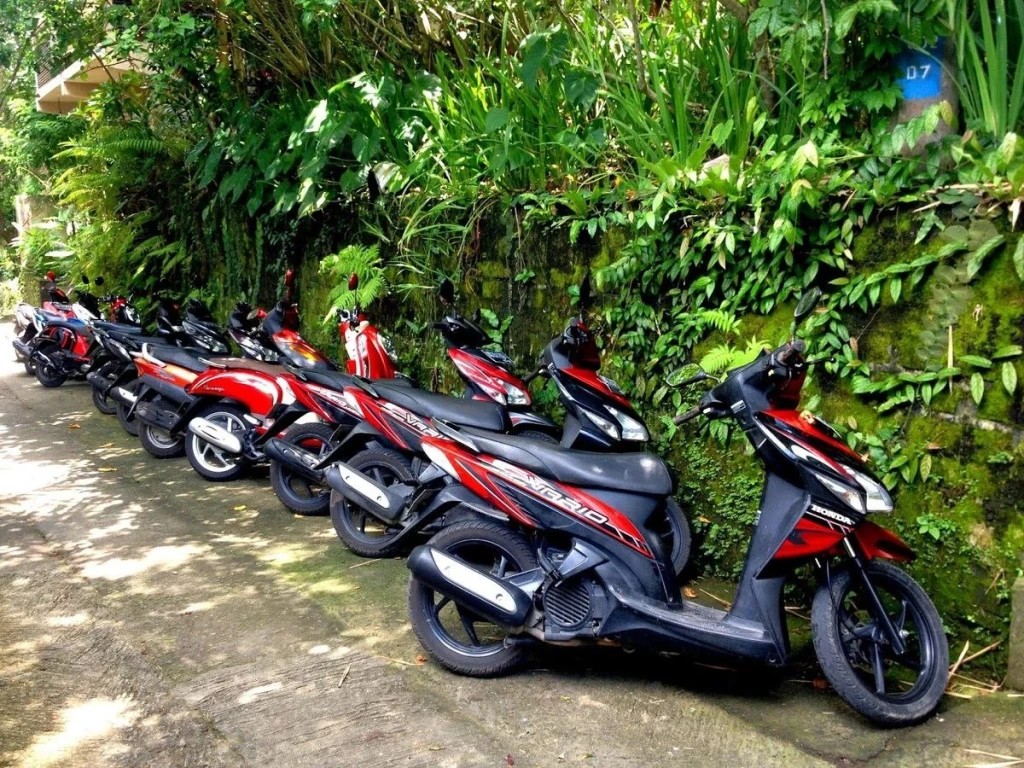 Parking in Bali: Order in Chaos