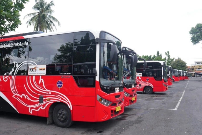 Bali Gears Up with 30 Buses to Tackle Traffic Chaos!