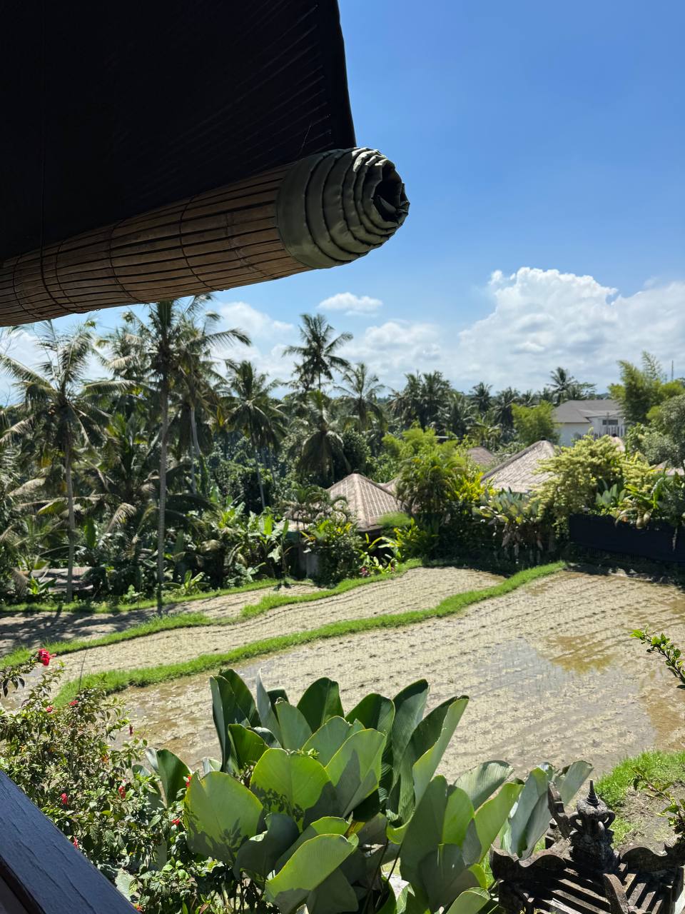 Guesthouse cozy Ubud