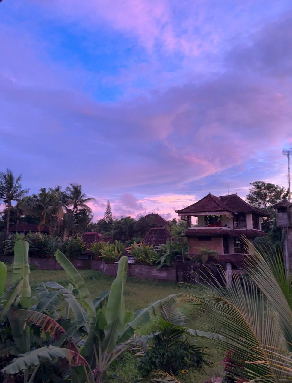 Villa с видом и удобствами Ubud