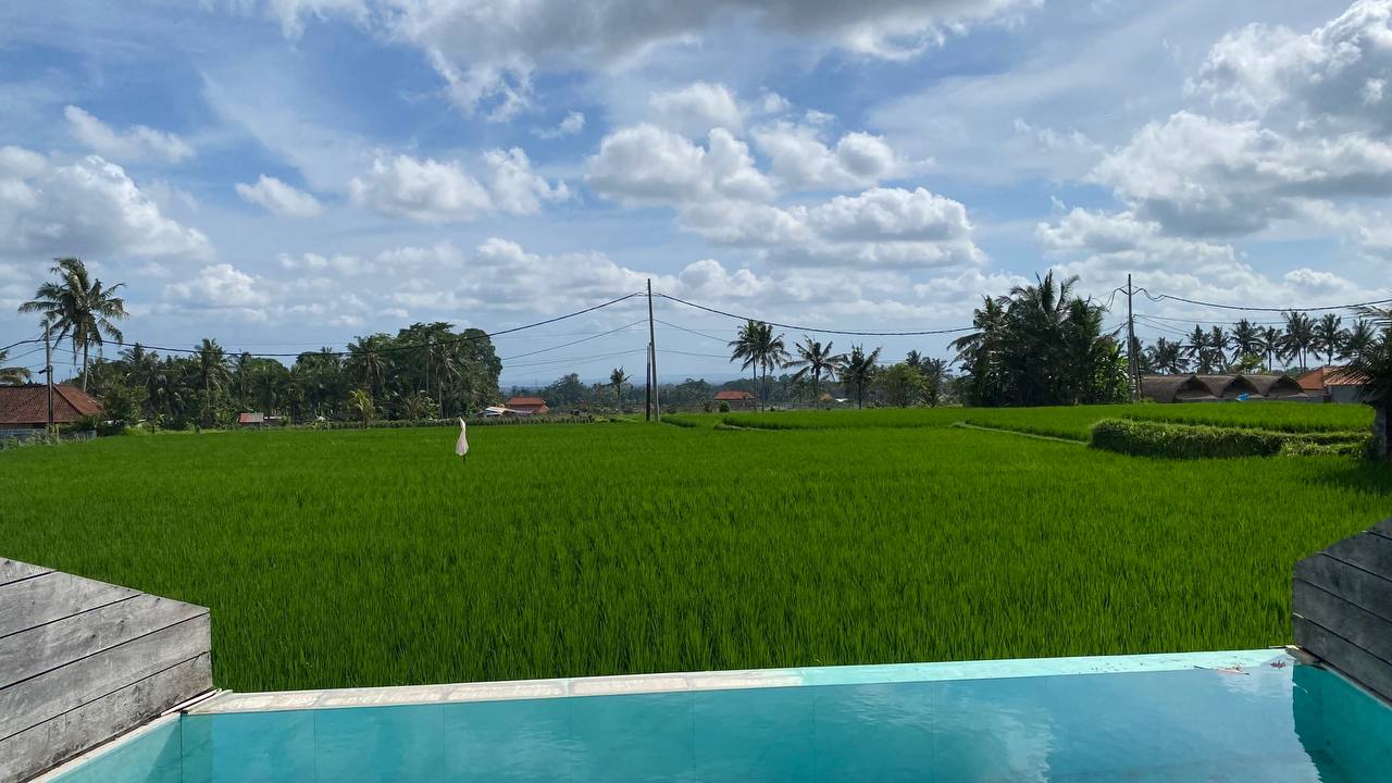 Apartments studio with stunning view and infinity pool Ubud