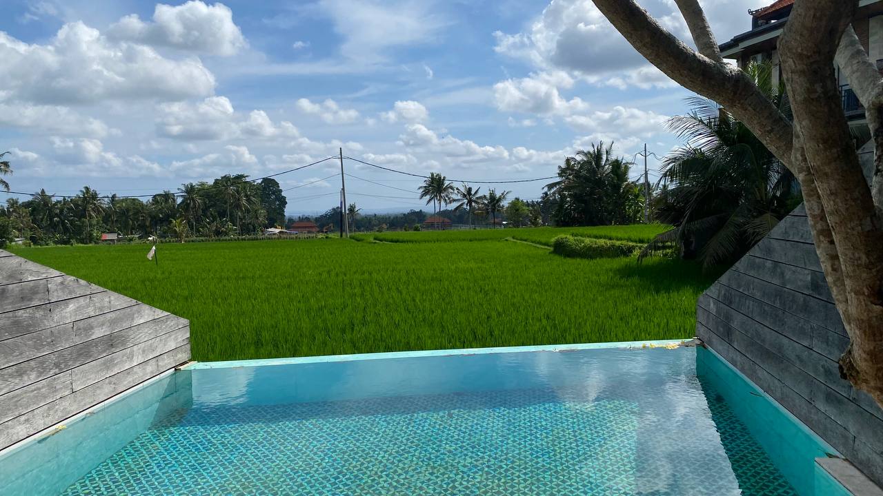 Apartments studio with stunning view and infinity pool Ubud