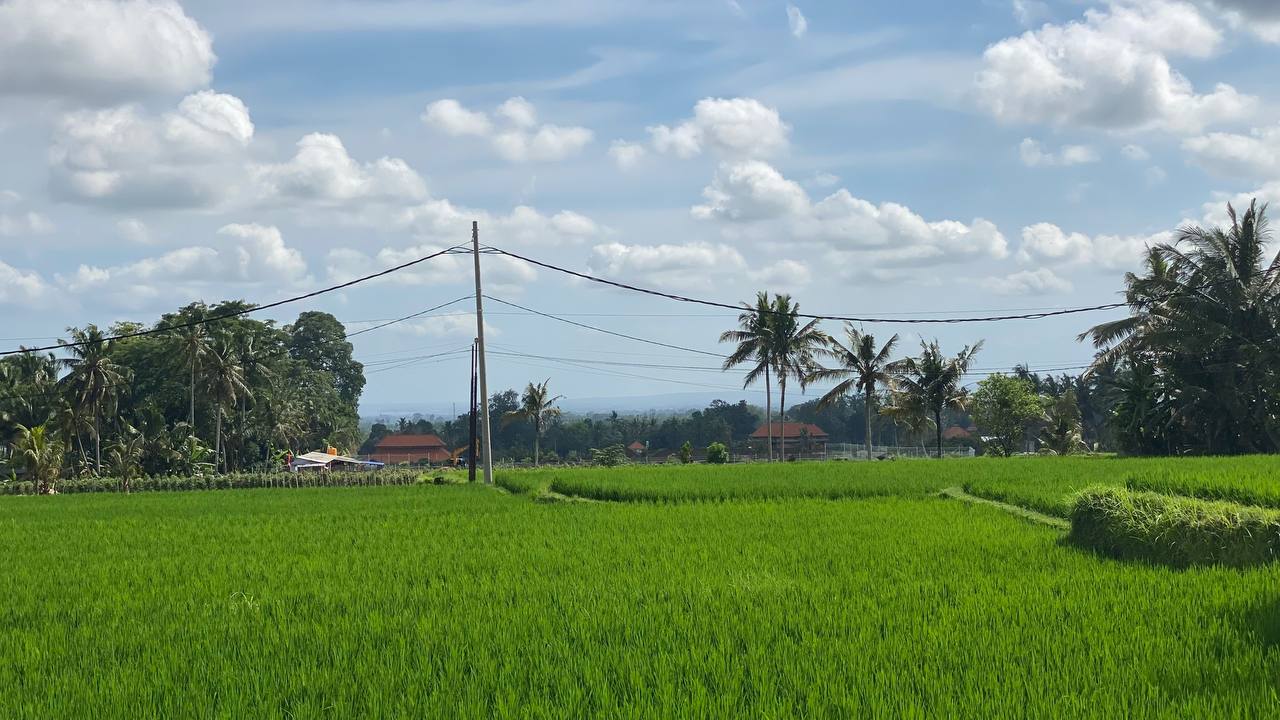 Apartments studio with stunning view and infinity pool Ubud