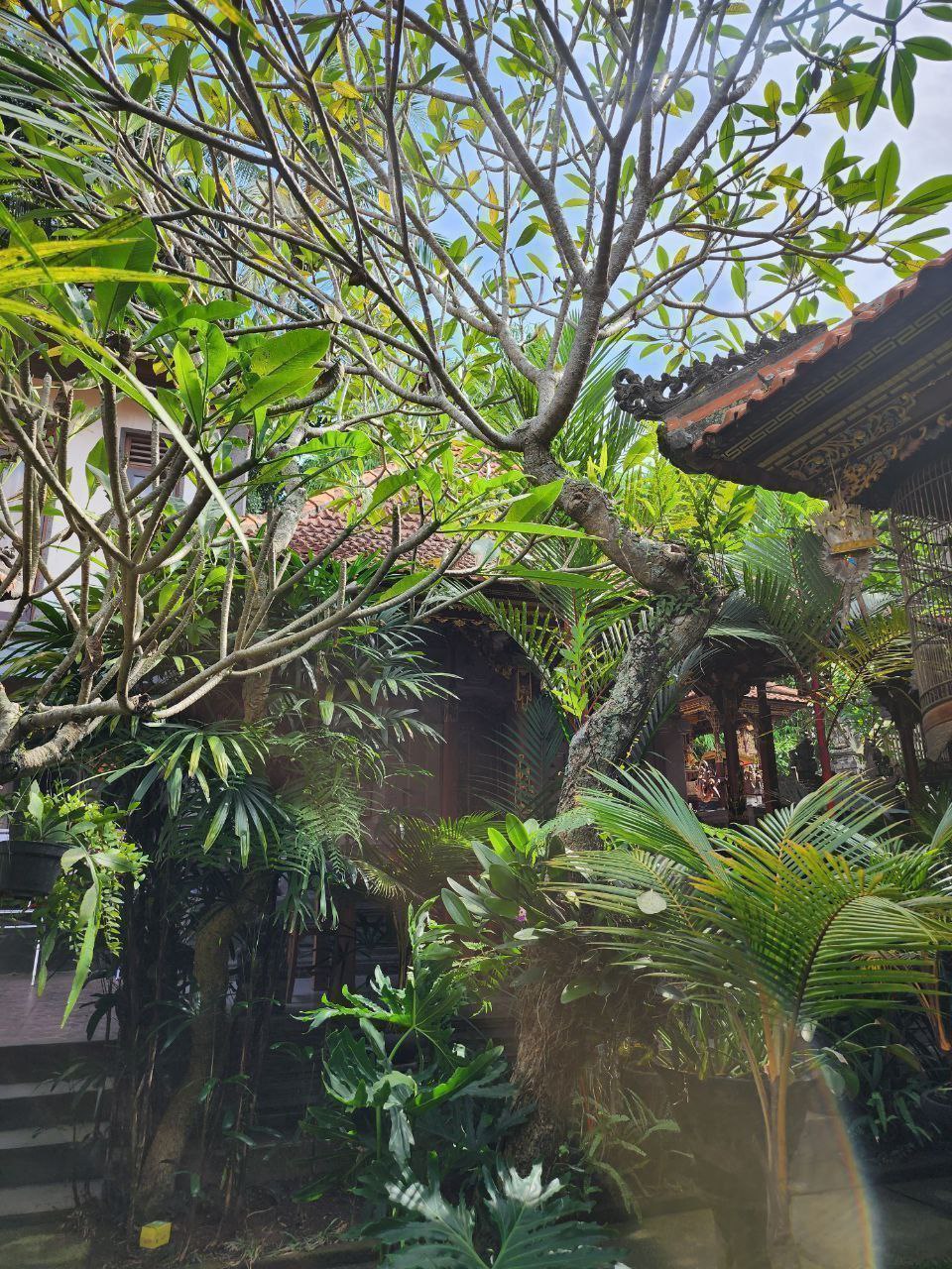 Guesthouse bright Ubud