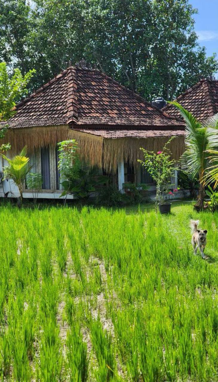 Villa unusual accommodation in Canggu 1 bedroom