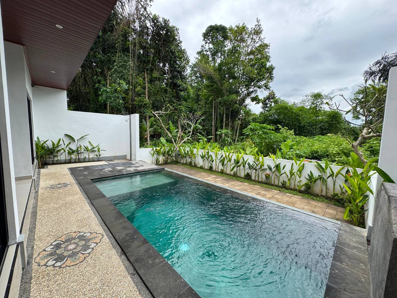 Villa with a view of the jungle Ubud 2  bedrooms