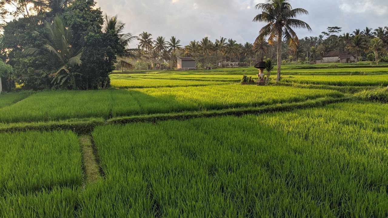 Villa with a pool in Ubud 2  bedrooms