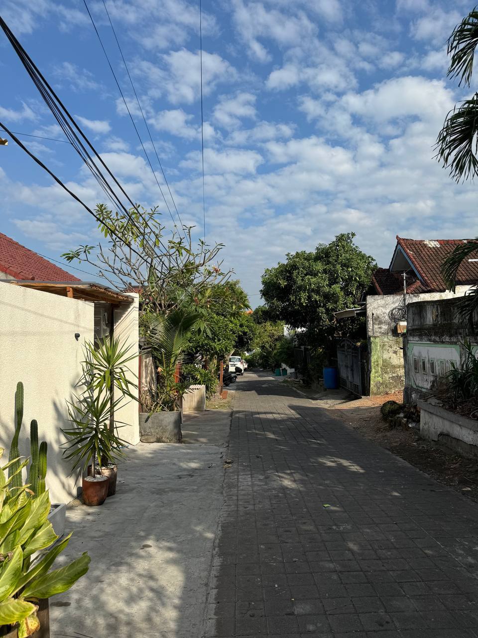 Villa cozy Canggu 2  bedrooms