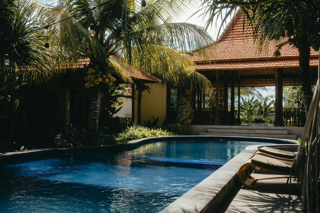 Tourists Flock to Illegal Hotels – Bali Loses Millions in Tax Revenue!