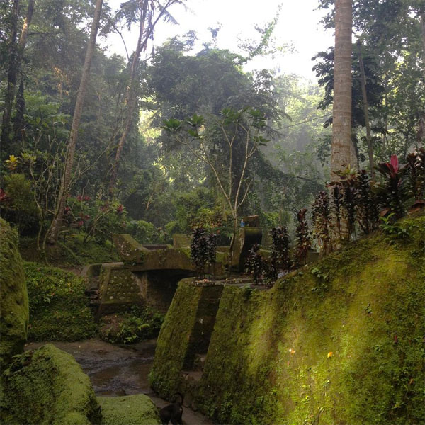 Route: Ubud (1 day)