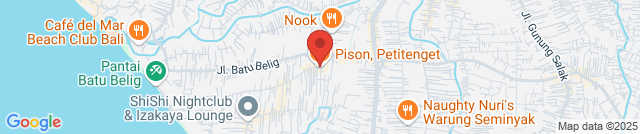 Pison