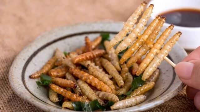A resident of Karangasem shared recipes for dishes made from caterpillars