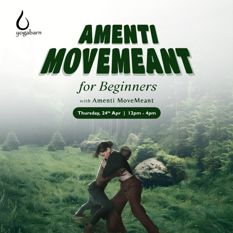Amenti MoveMeant for Beginners