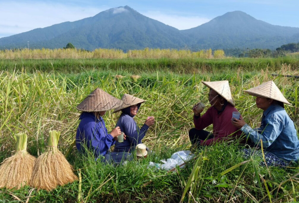 New in Jatiluwih: Try Life as a Balinese Rice Farmer