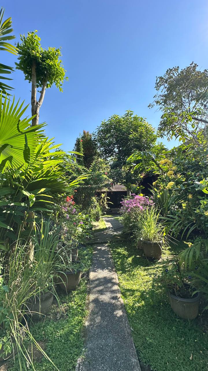 Apartments room for rent in Ubud