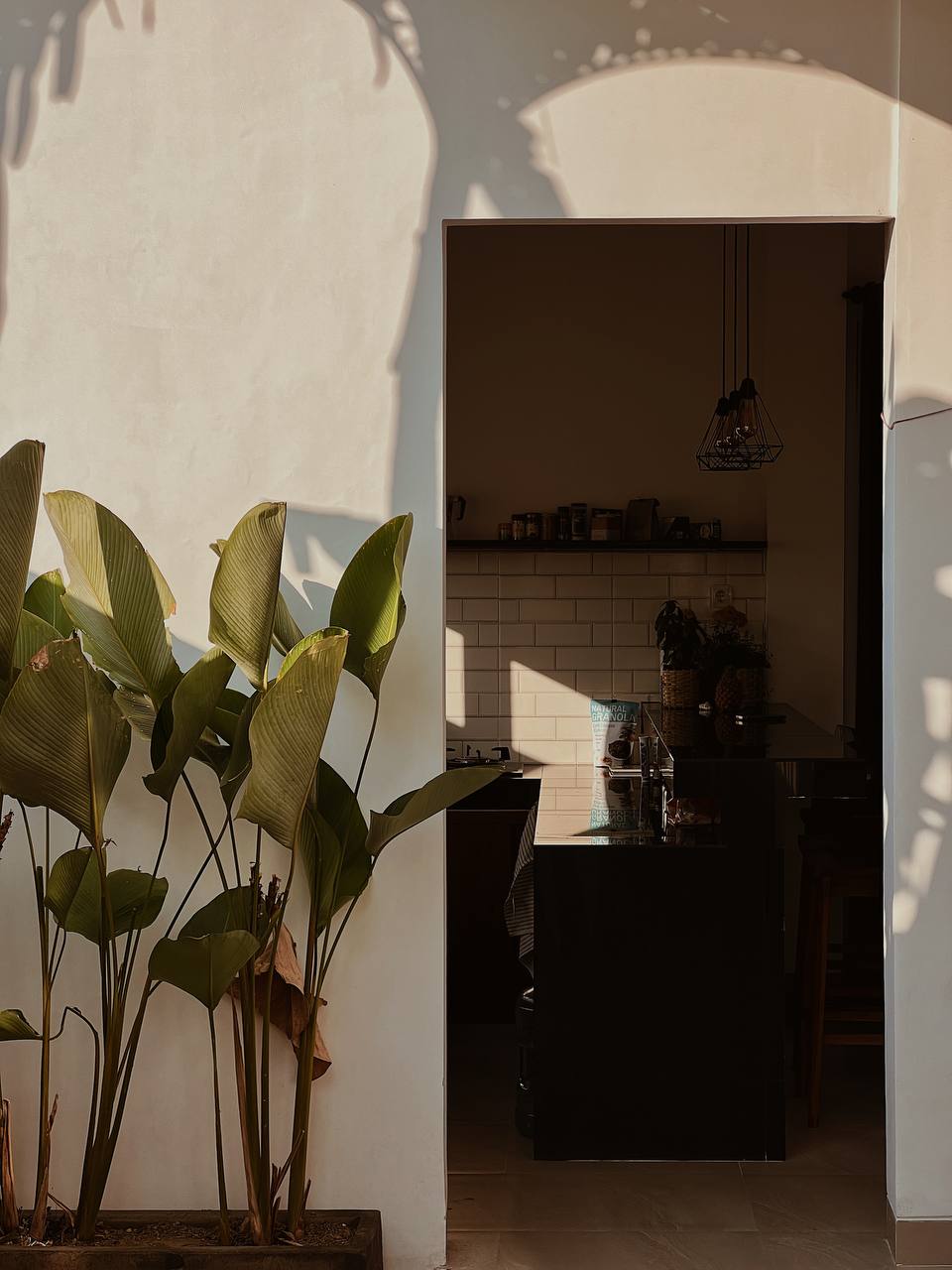 Villa cozy rental Canggu