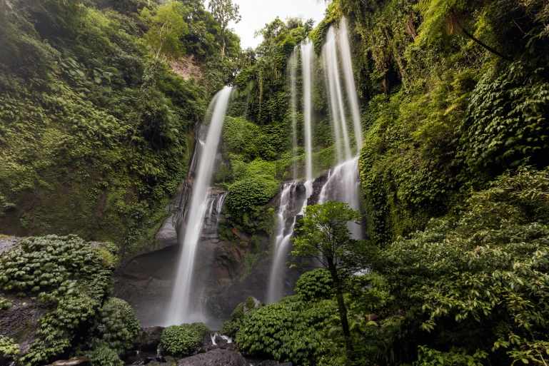The authorities in Bali have decided to address the tourist mafia issue at Sekumpul Waterfall