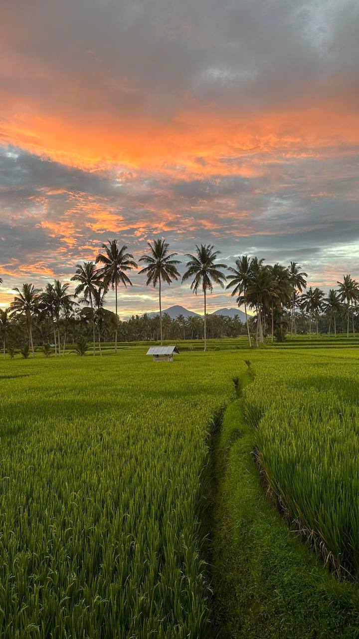 Villa cozy Ubud