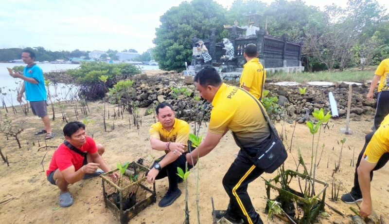 Kuta Police Plant Mangroves and Release Turtles into the Wild