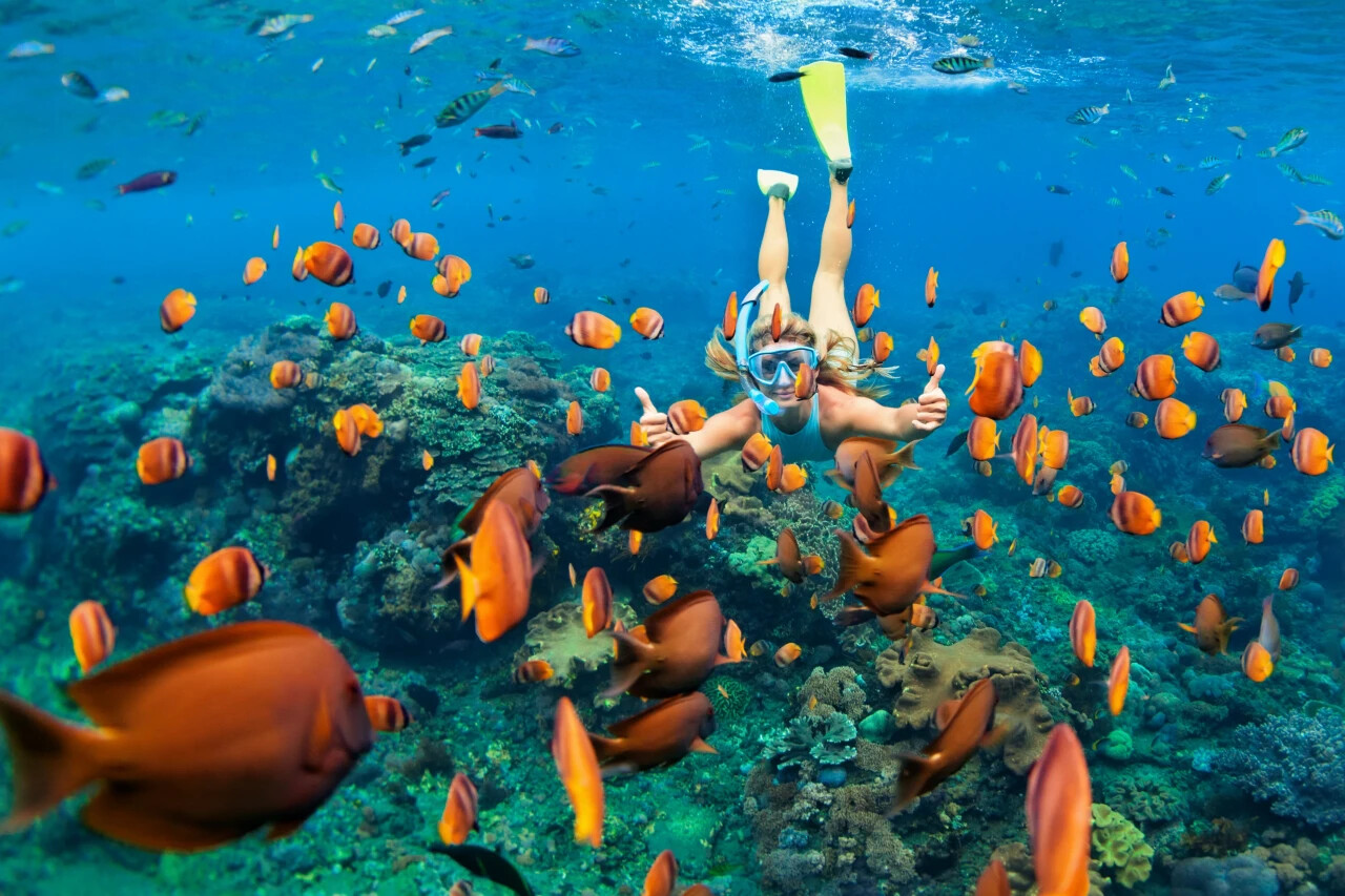 Dive In: Bali’s Underwater Magic