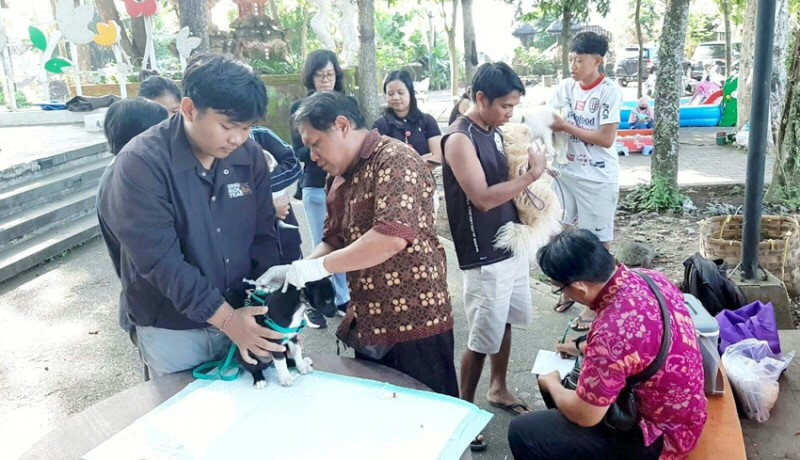 Tabanan: 43% of Rabies Carrier Animals Vaccinated