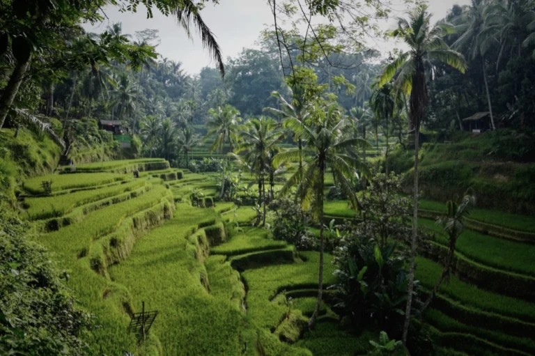 Bali will focus on ecotourism and green investments in 2024