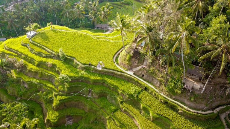 Bali Protects Farmland with New Building Ban