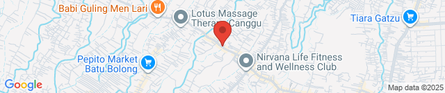 UNION CANGGU ELECTRONIC