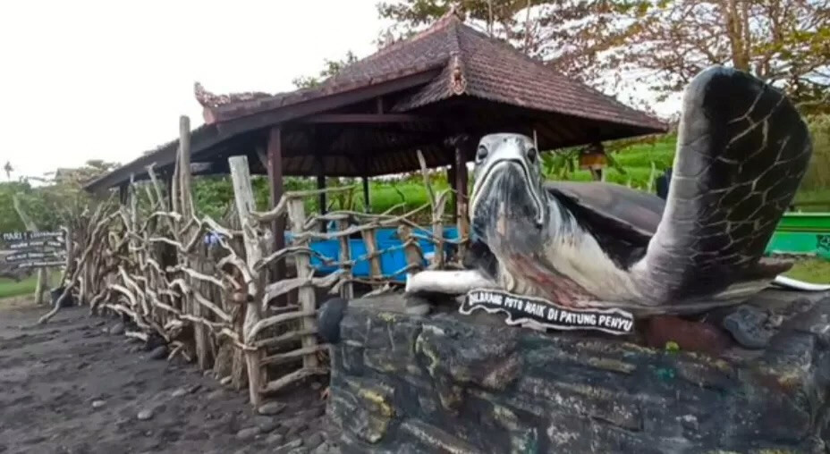 Strong Waves Hit Turtle Rescue Center in Tabanan