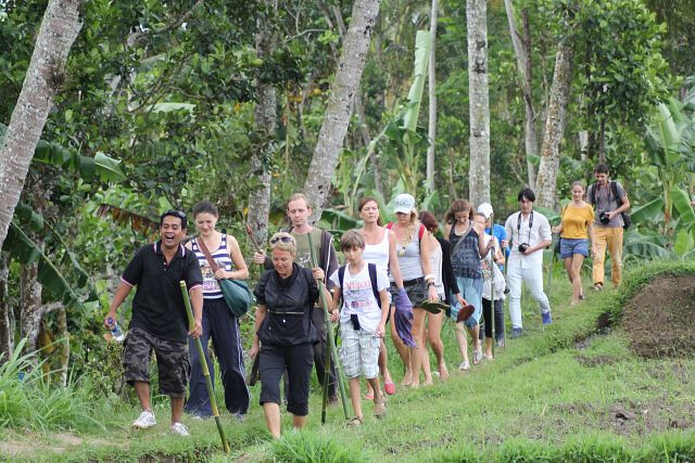 Trekking Tour in Mountainous Munduk