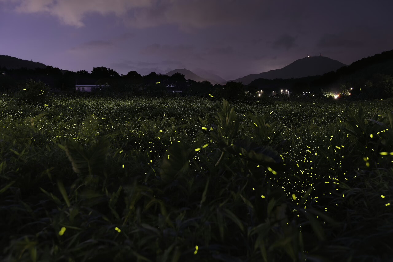 Firefly Garden in Ubud Wins Top Ecotourism Award