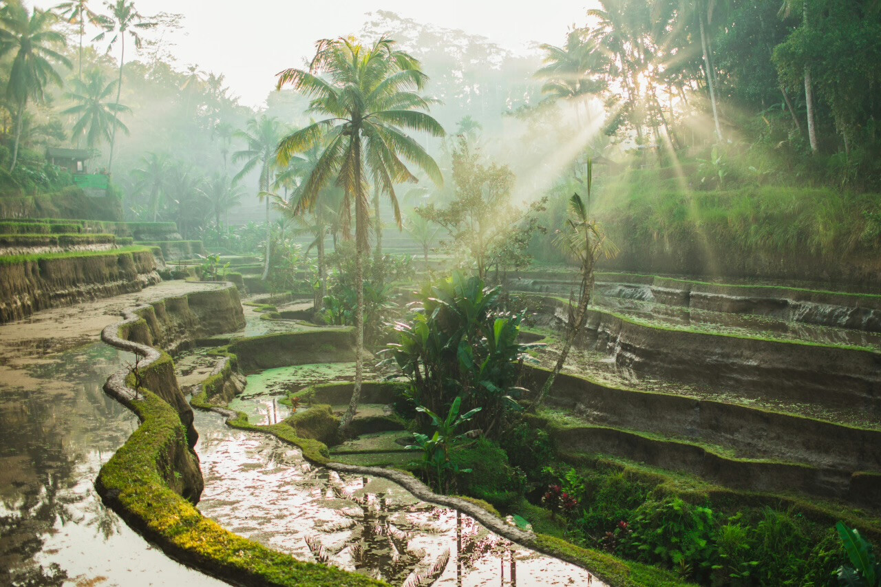 Bali Bounces Back: Floods Gone, Sunshine Returns