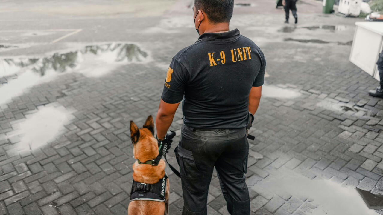 Nusa Dua Resorts Get Extra Security with Service Dogs
