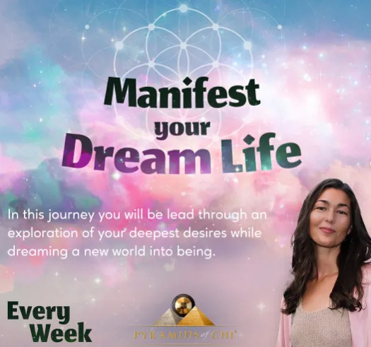 Meditation Manifest your Dream Life 8699