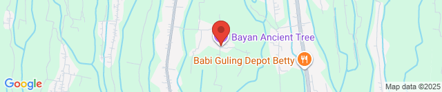 Bayan Ancient Tree