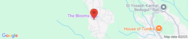 The Blooms Garden