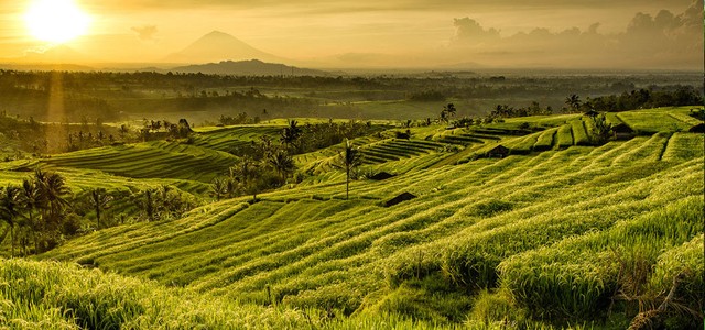 Tabanan area in Bali