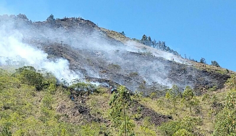 Wildfire on Mount Batur Ravages Nearly 10 Hectares of Forest