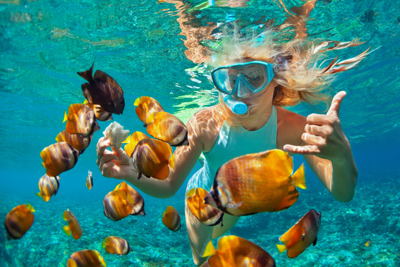 Diving in Bali: Three Best Places to Explore the Underwater World