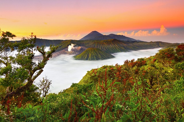 Trips to the volcanoes of Java Island: Ijen and Bromo!