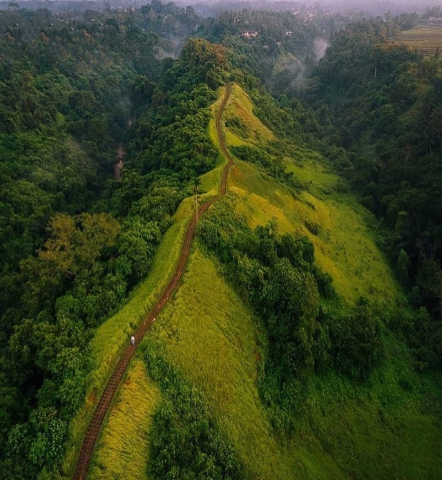 Campuhan Ridge Walk