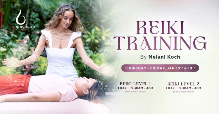Health Reiki Training 13391