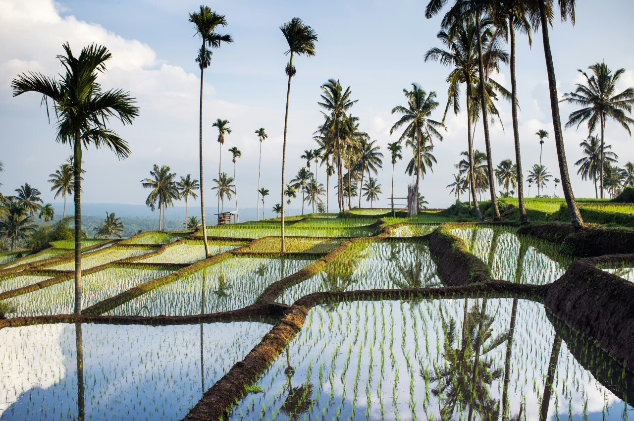 Bali and Lombok Named Asia’s Best Islands in 2025 Rankings