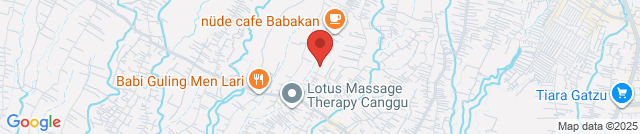 Tropical laundry- laundromat