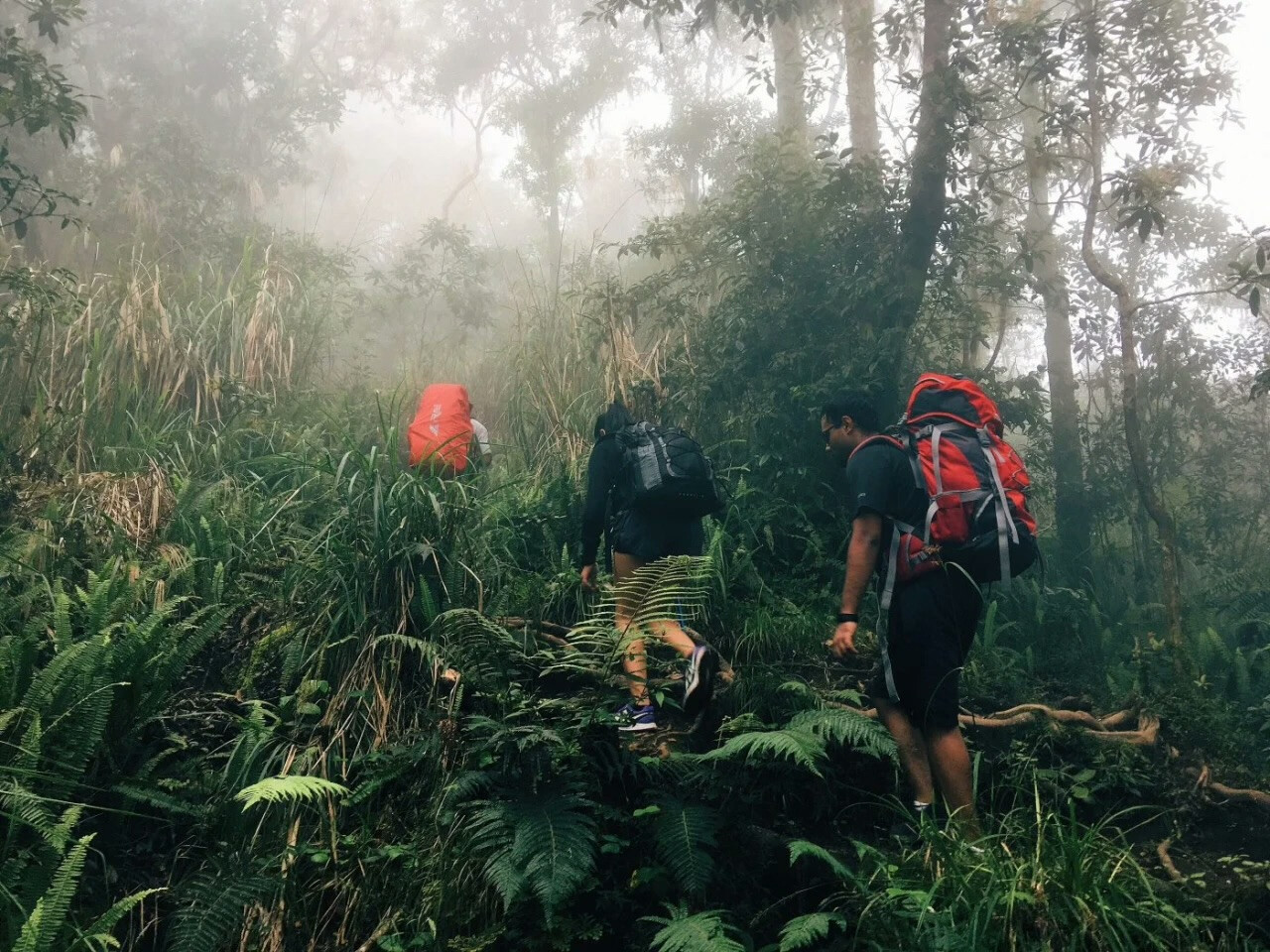 New Rules and Fees for Rinjani Visitors from November
