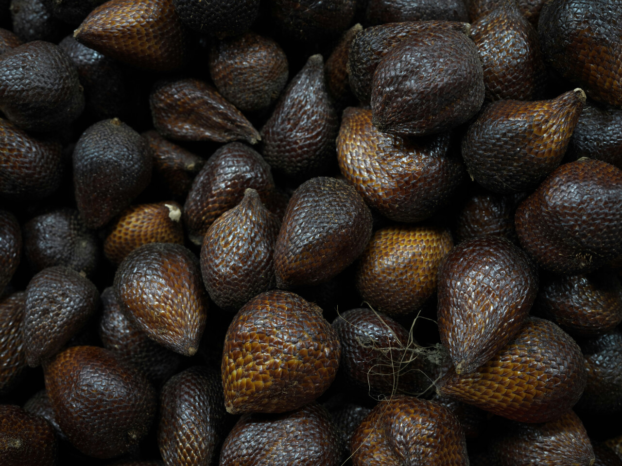 Karangasem’s Snake Fruit Joins UNESCO Heritage List