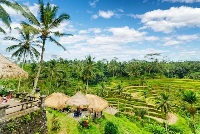 Bali Excursions from MyBaliTrips.com