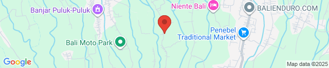 New Earth Cooking School